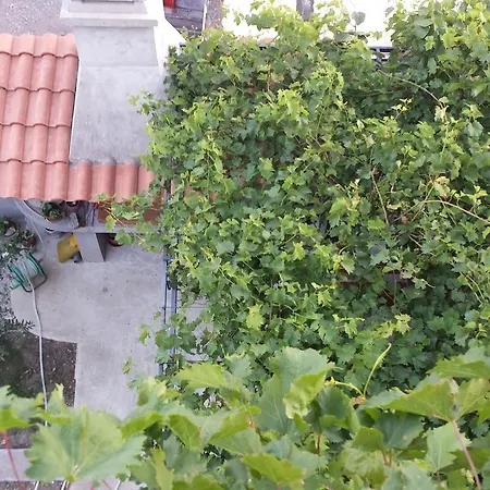 Pod Lozom Sutomore Apartment Podgorica